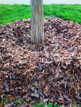 volcano mulching