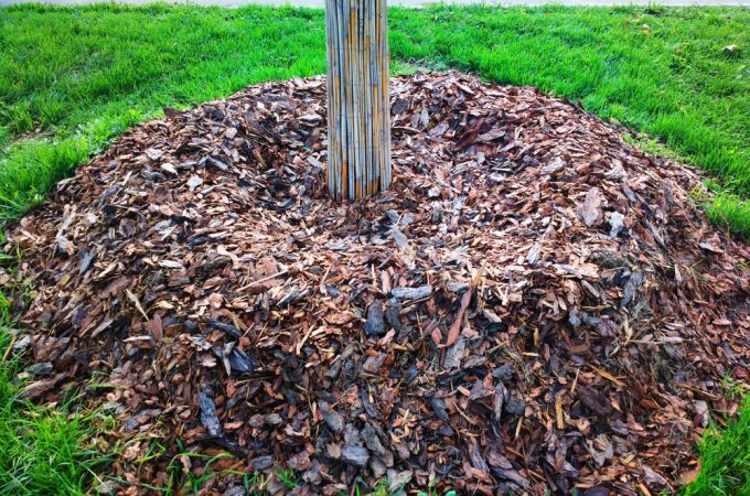 volcano mulching