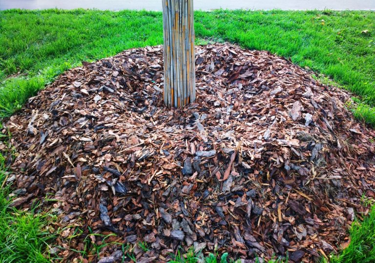 volcano mulching