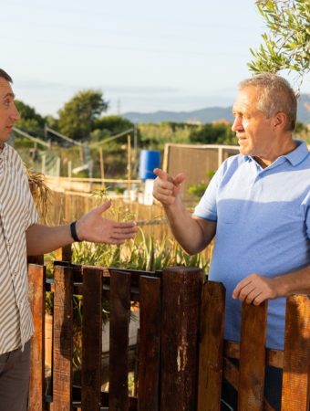 Landscaping mistakes that cause neighbor disputes