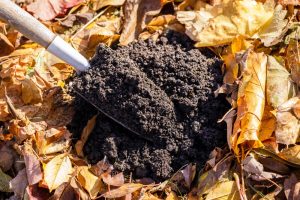 fall composting
