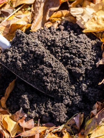 fall composting