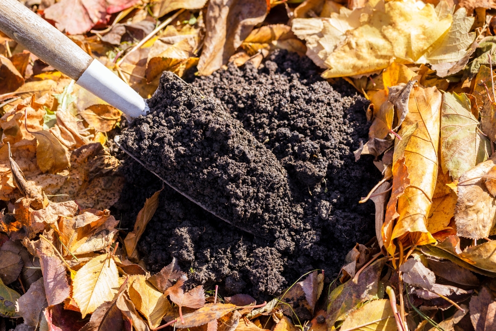 fall composting
