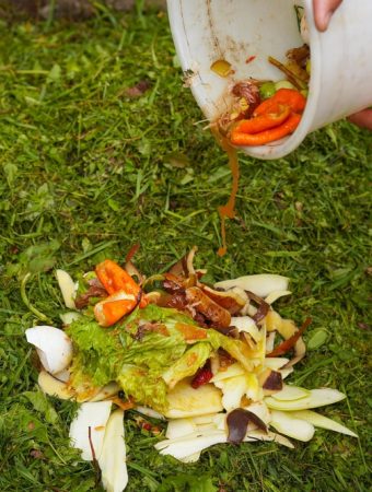 How to compost vegetable plants safely