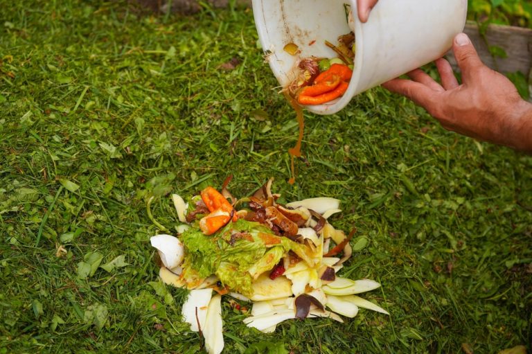 How to compost vegetable plants safely