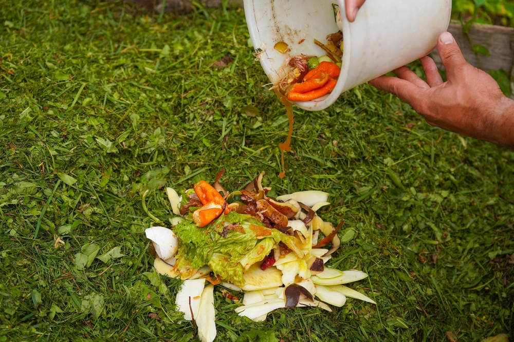 How to compost vegetable plants safely