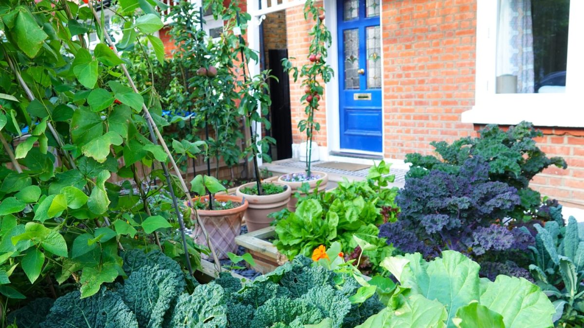 HOA vegetable garden restriction