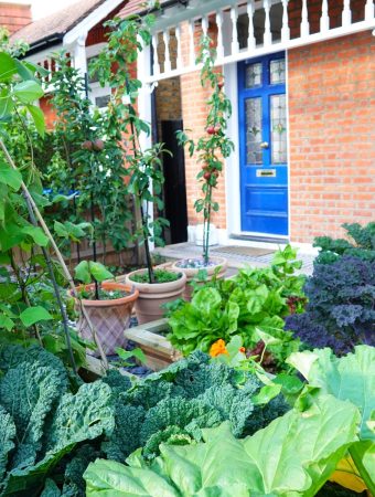 HOA vegetable garden restriction