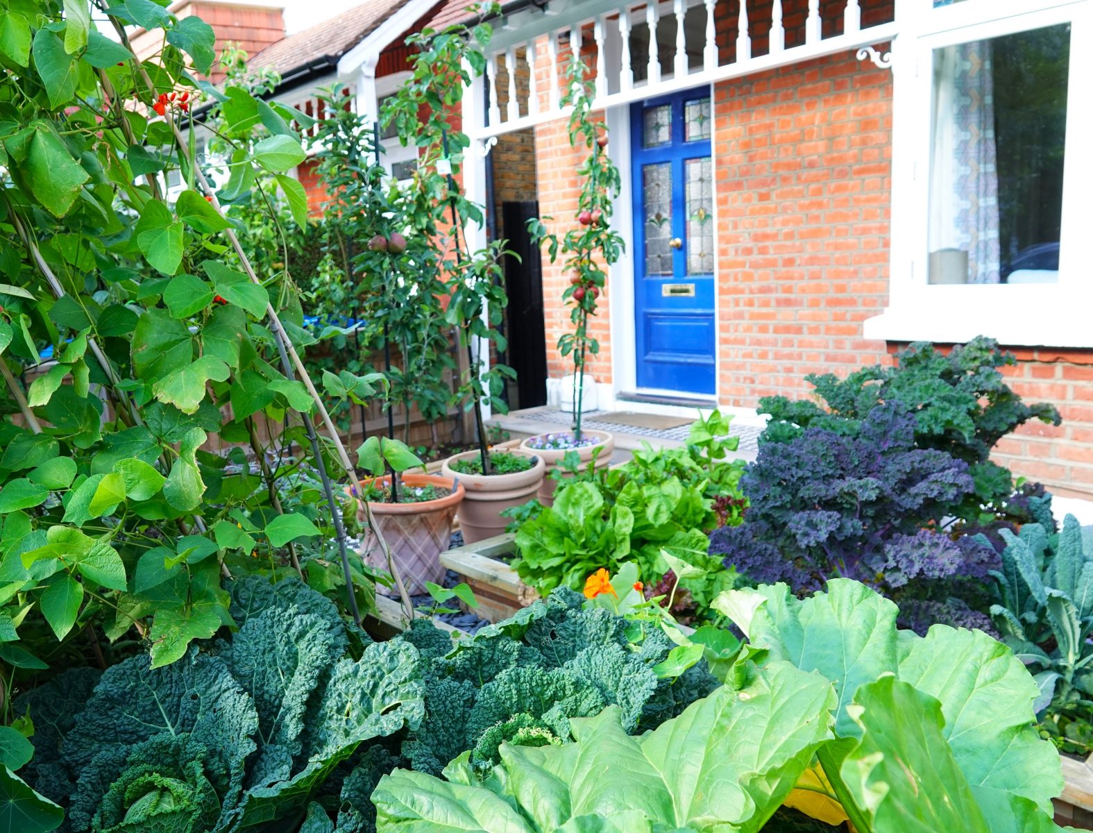 HOA vegetable garden restriction
