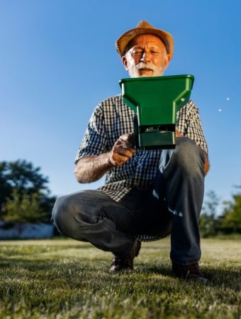 cool-season lawn fertilizer timing