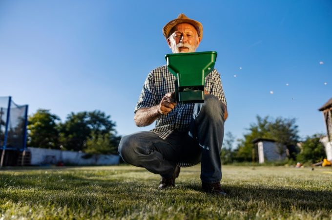 cool-season lawn fertilizer timing