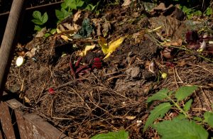 balance compost materials