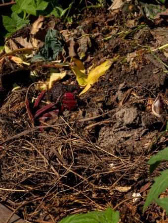 balance compost materials