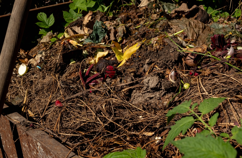 balance compost materials