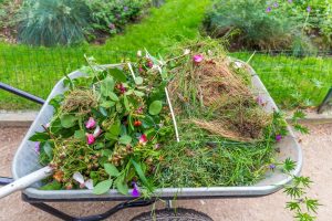leaving garden debris until spring