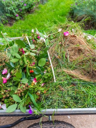 leaving garden debris until spring