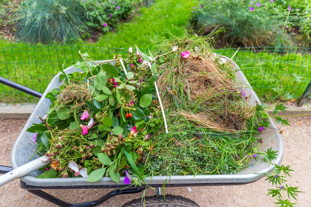 leaving garden debris until spring