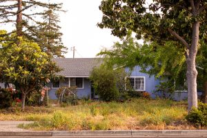 Landscaping mistakes that hurt home value