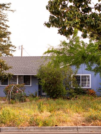 Landscaping mistakes that hurt home value