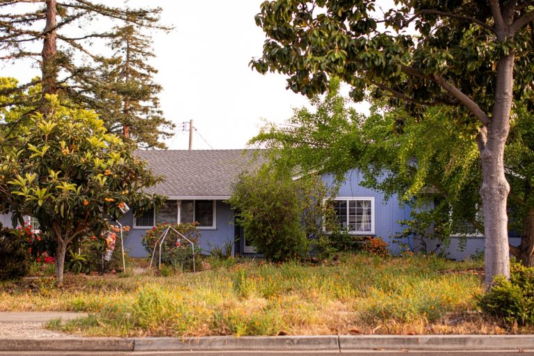 Landscaping mistakes that hurt home value