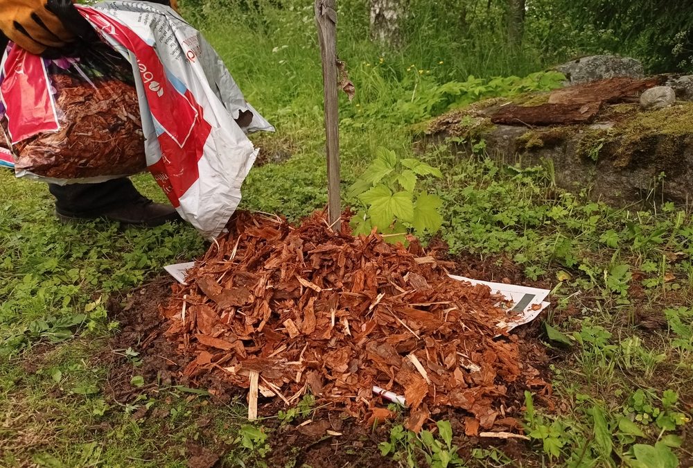 Volcano mulching