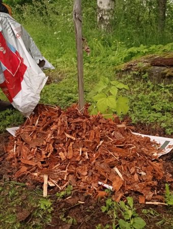 Volcano mulching