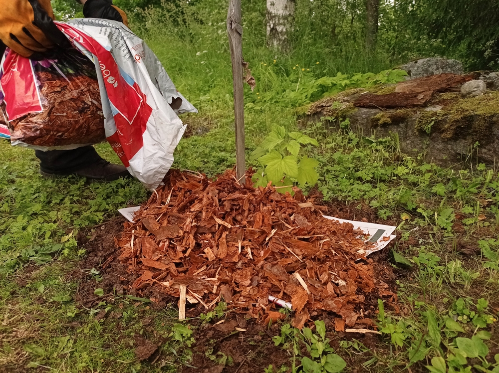 Volcano mulching