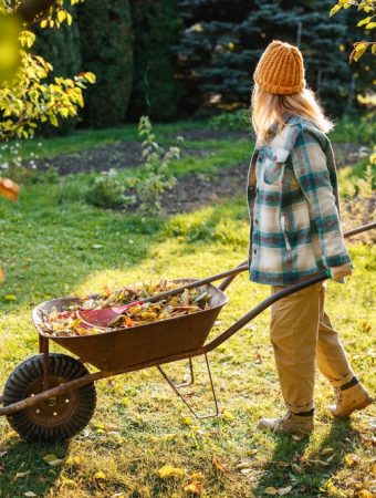 fall garden cleanup