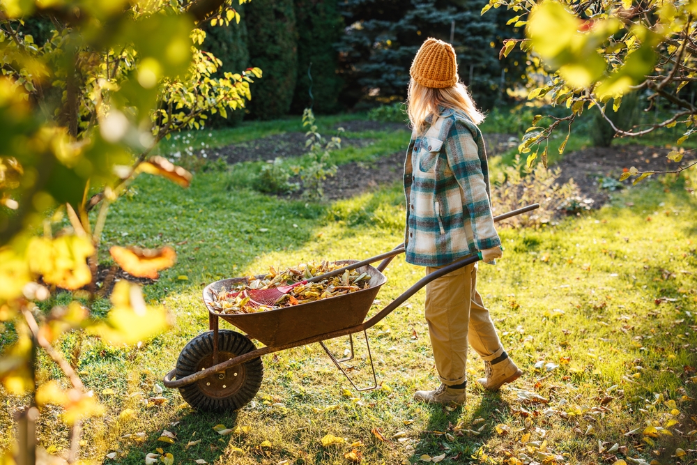 fall garden cleanup