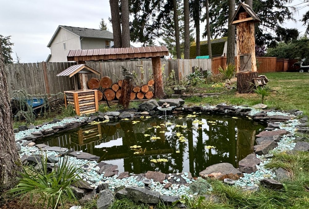 High-maintenance backyard improvements