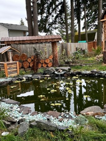 High-maintenance backyard improvements
