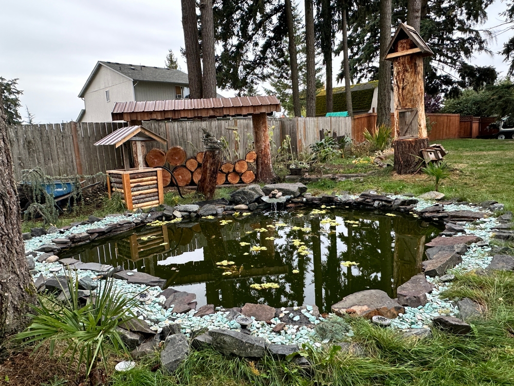 High-maintenance backyard improvements