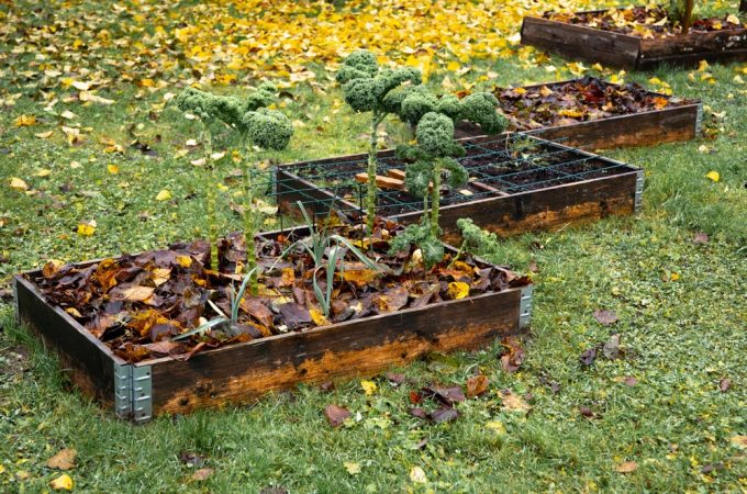fall garden weed control