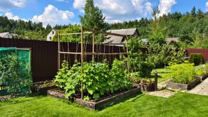 Front yard vegetable garden laws