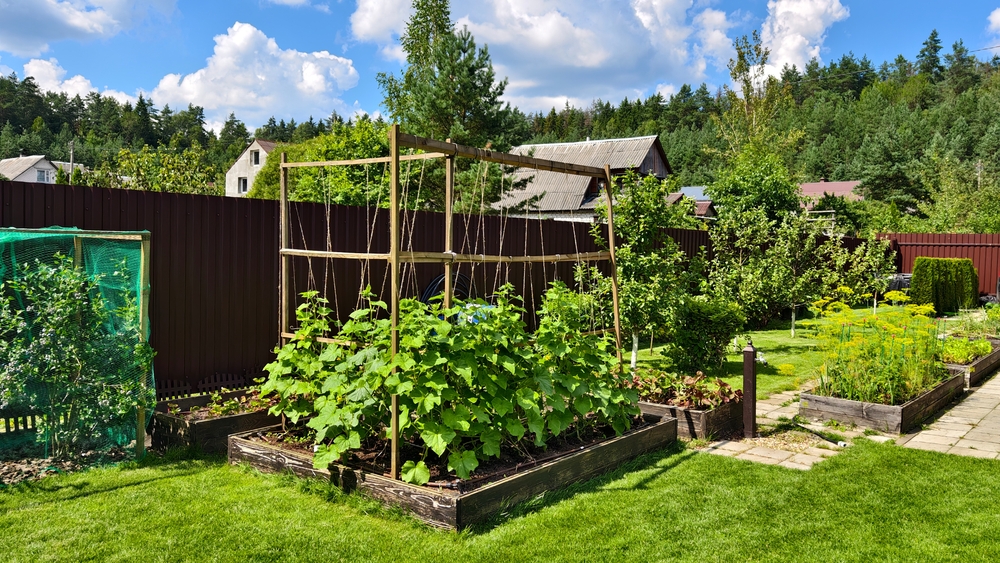 Front yard vegetable garden laws