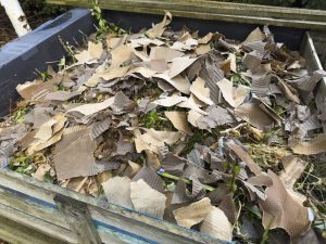brown materials for compost