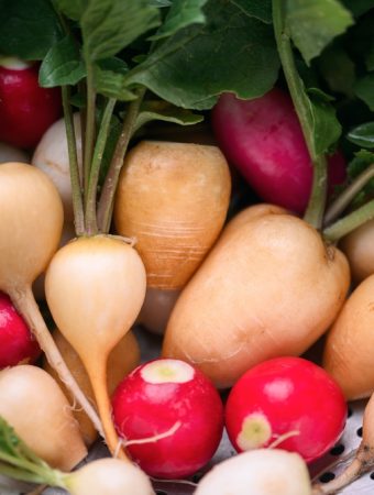 Fast-growing radish varieties