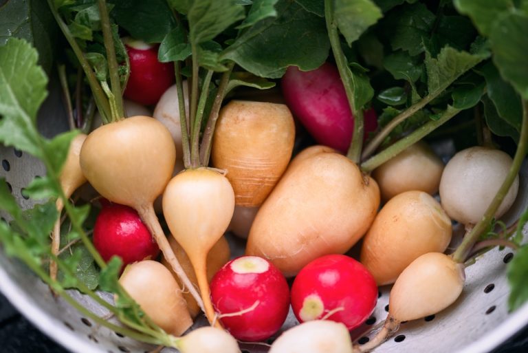 Fast-growing radish varieties