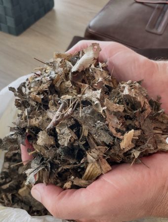 shredded leaves for compost