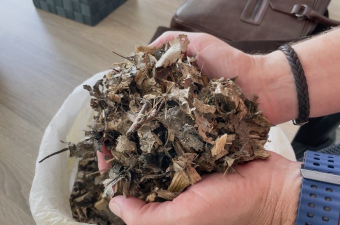 shredded leaves for compost
