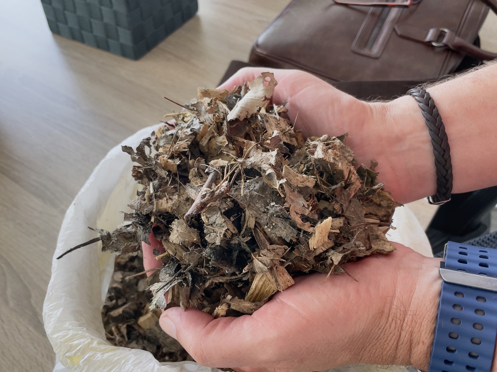 shredded leaves for compost
