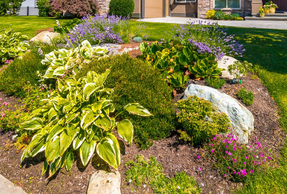 HOA landscaping rules