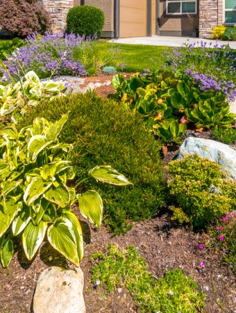 HOA landscaping rules
