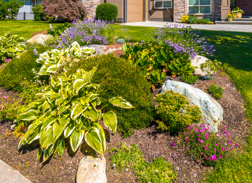 HOA landscaping rules