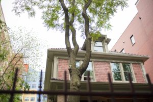 planting trees too close to your house