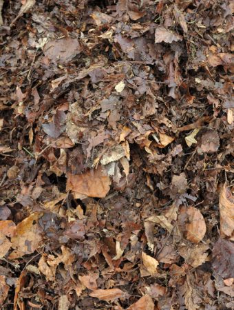 leaf mulch uses